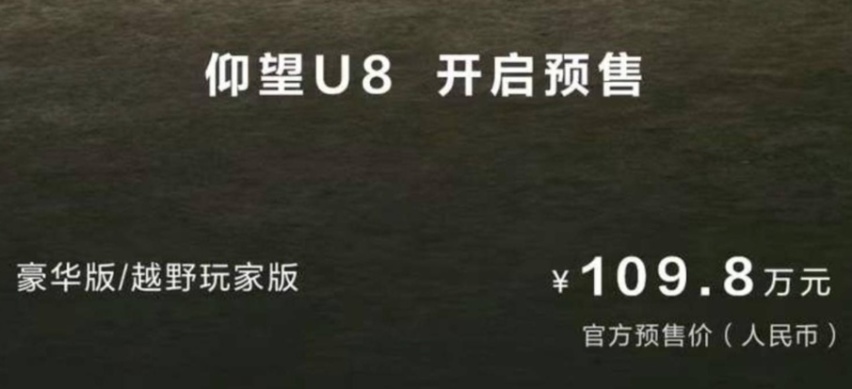 请抬头瞻仰 仰望U8预售价109.8万元