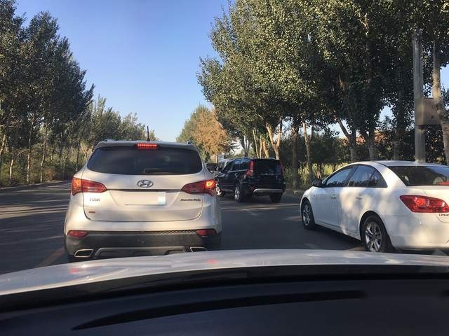 南方随处可见，东北却不常见的纯电动车，真的能取代燃油车？