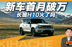 上市首月销量就破万，长城H10凭什么火了？值不值得买
