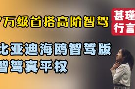 7万级首搭高阶智驾，比亚迪海鸥智驾版智驾真平权