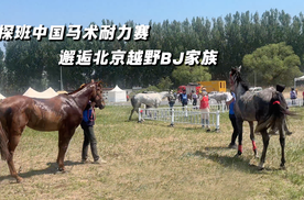 探班中国马术耐力赛 邂逅北京越野BJ家族