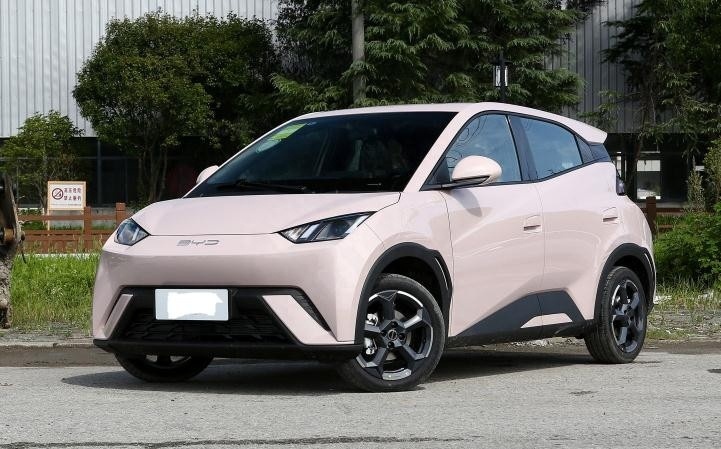 10万预算买纯电车，五菱缤果、海鸥、哪吒AYA，家用谁更合适？