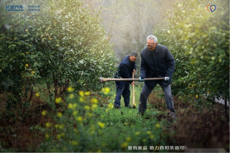 连续三年助力酉阳茶油！长安汽车产业扶贫显担当