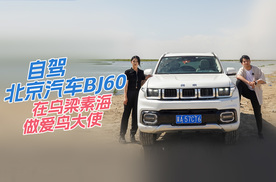 自驾北京汽车BJ60在乌梁素海做爱鸟大使！