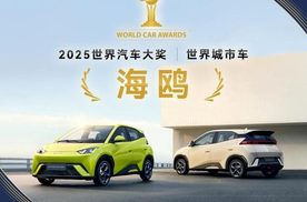 比亚迪2025年一季度全球多市场登顶，风靡各界名流