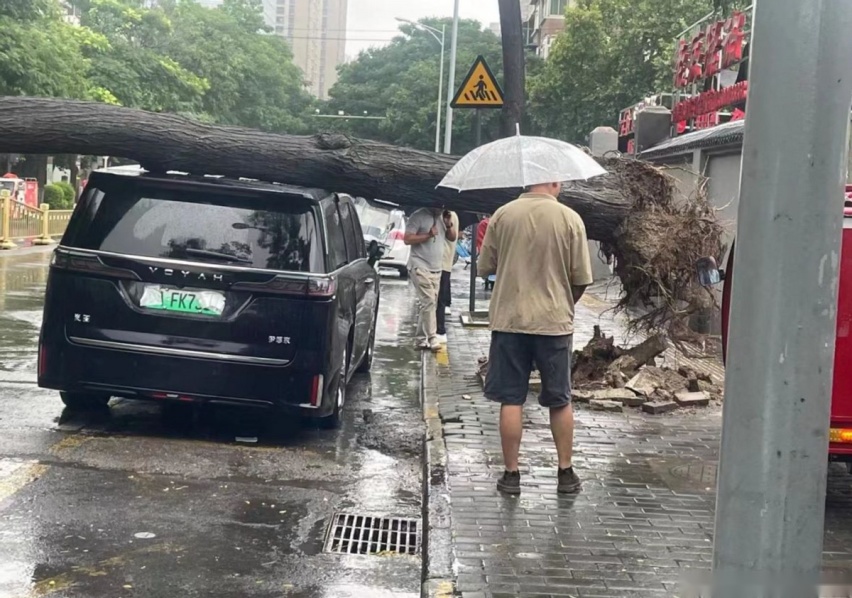 大树压岚图梦想家车顶，结果会怎么样？