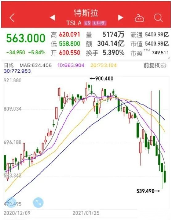 火箭般蹿升雪崩式狂跌，特斯拉蔚来等巨幅震荡背后的驱因