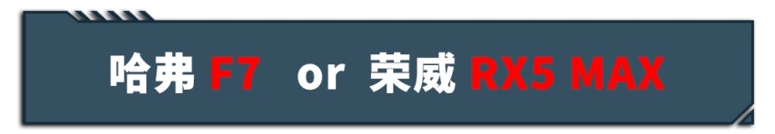 鸡头还是凤尾？这么选包你不会错！