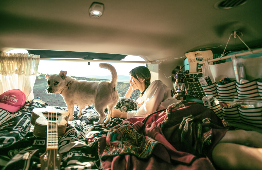 《跟我自驾游》第五季01 VanLife两人一狗，结伴而行