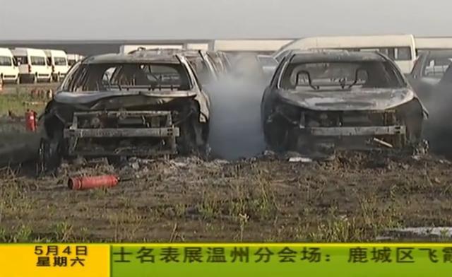 半月不到N起自燃!特斯拉、蔚来先后中招,入手电动车真能放心?