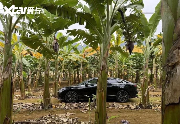 岚图追光PHEV与奥迪A6L，豪华行政轿车市场新王者将诞生！