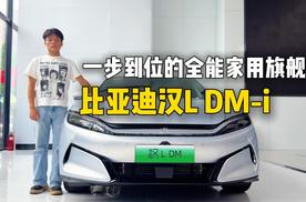 “一步到位”的全能家用旗舰，比亚迪汉L DM-i