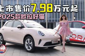 上市售价7.98万元起 抢先实拍2025款欧拉好猫