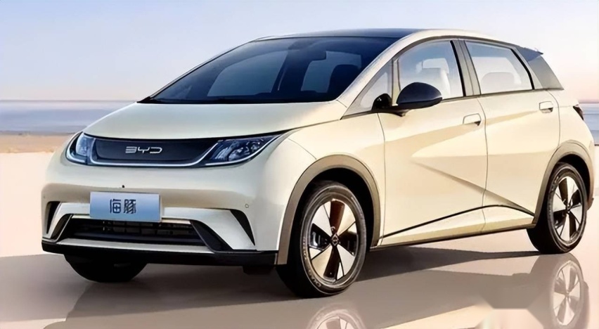 2023国内最畅销的10款车型：Model Y年度销冠，海鸥成为最大黑