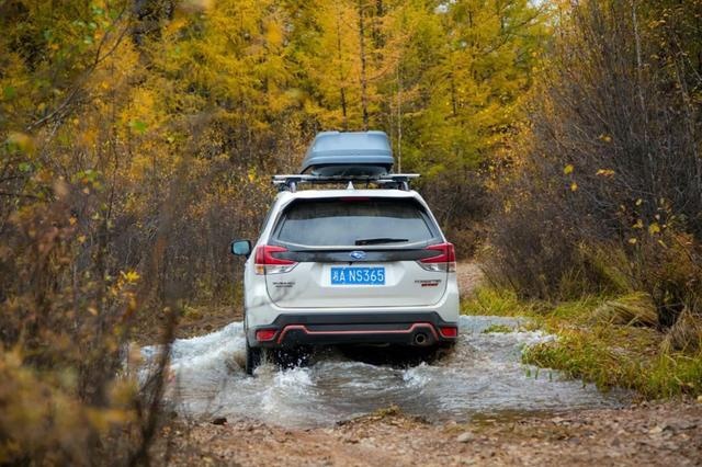 可能是最安全的一台SUV 森林人12000km长测报告