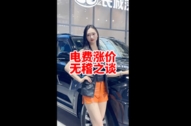 电费涨价真是无稽之谈 为什么说呢 苏老师来分析分析