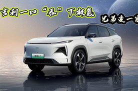 吉利一口“吞”下极氪，兄弟变一家