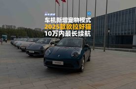 车机新增宠物模式，2025款欧拉好猫，10万内最长续航