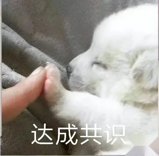 沃尔沃安全永不缺席！罗永浩给沃尔沃S90代言的原因找到了