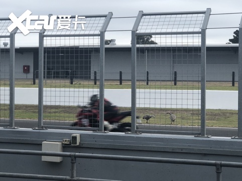 不一样的澳洲旅行，菲利浦岛MotoGP赛道一日体验