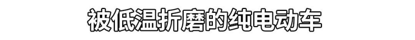 太惨了！过去的一年，这些车都被折磨得要死要活！