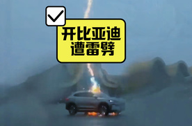开比亚迪遭雷劈？这个标题也太犀利了吧？