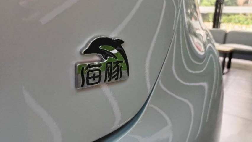 新车体验官丨下一代电动车，长成海豚这样？