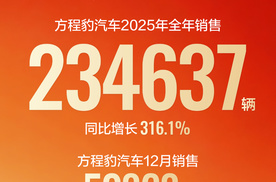 方程豹2925年度销量234637辆，增长316.1%