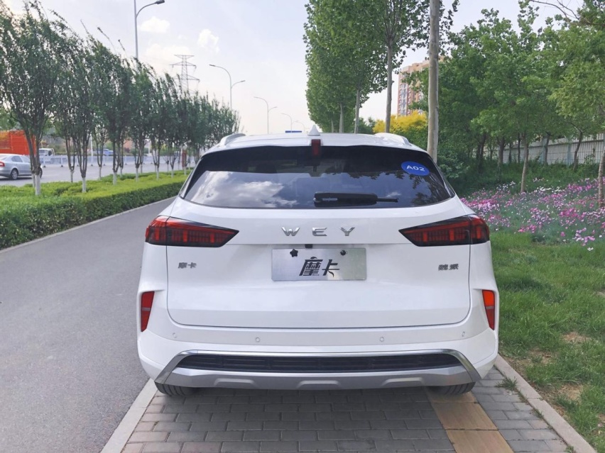 “准L3”级别的WEY摩卡，自动驾驶玩的咋样？