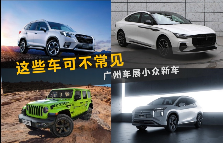 【帮你选车】11月19日都能看到 这些车可不常见 广州车展小众新车