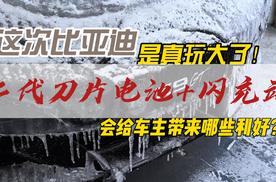 比亚迪这次叒玩大了,想买电车的又笑了！