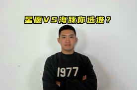 吉利星愿VS比亚迪海豚，谁才是实用之选？