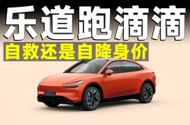 乐道L60成专车，面子跟销量总要选一个吧？