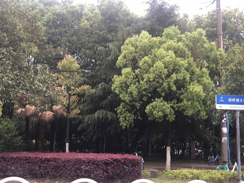 微信图片_20210331152930.jpg