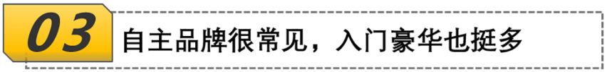 豪车到处停，SUV满大街，电动车不常见，春节回乡汽车见闻