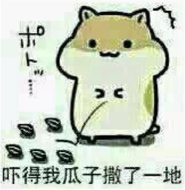 探店凯迪拉克CT5：车是真不错，预售价也合适，可为啥没有订