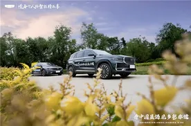 买车到底应该看哪些维度？销量才是重中之重！