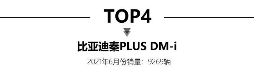 6月新能源车销量公布，比亚迪秦PLUS DM-i销量近10000台