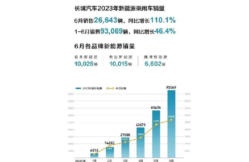 各大品牌均有起色 6月新能源销量解析