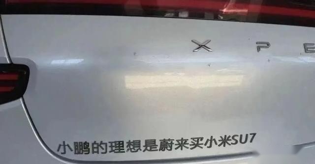 车主们的精神状态不错，爆改车尾标识，各式各样全是“整活”