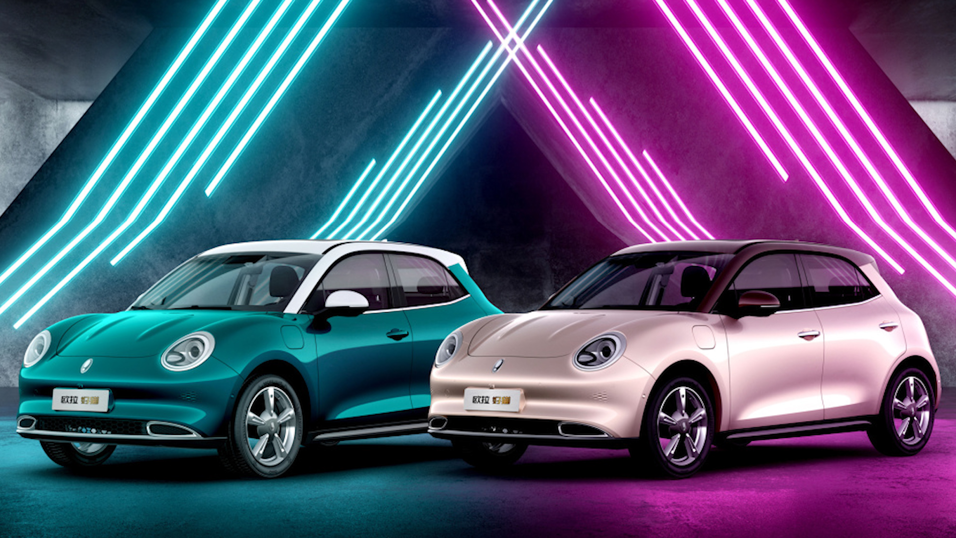 �W����܇9���N��6619�v ��؈�AӋ��11�·�����