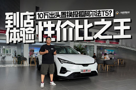 10万出头置换极狐阿尔法T5？到店体验性价比之王