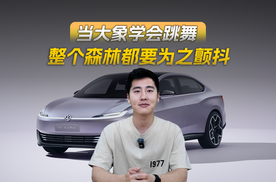 当大象学会跳舞，整个森林都要为之颤抖