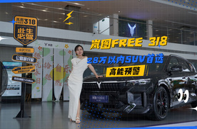 岚图FREE 318，加量不加价，28万以内SUV首选！