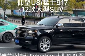 12款大型SUV合集，仰望U8、猛士917、红旗LS7、红旗E-HS9