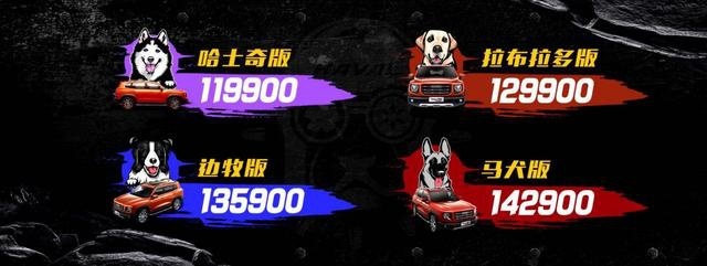 潮玩旅伴新选择，哈弗大狗正式上市起售价仅11.99万元
