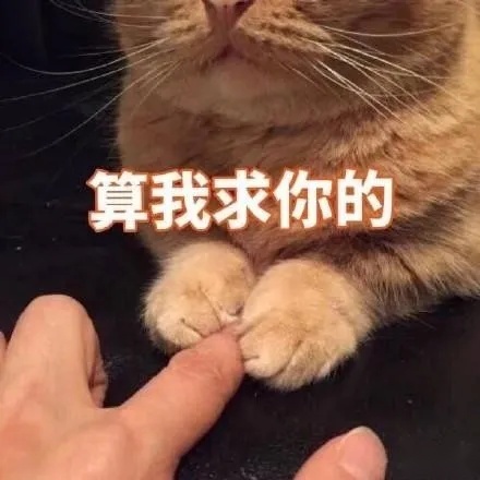 领克03+旅行版曝光？一旦上市恐怕又将是爆款车型