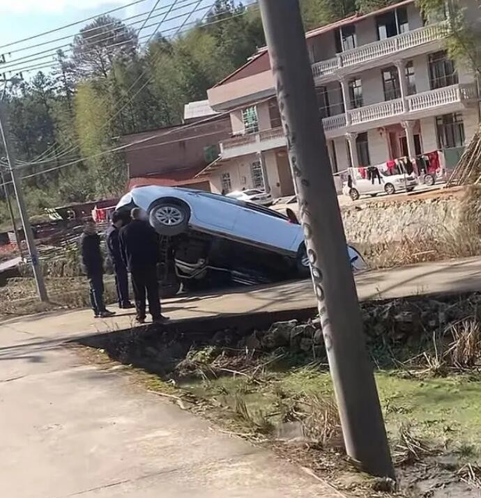 一年两箱油人称鬼见愁 聊聊什么是两箱油仙人