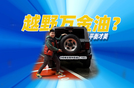 坦克300到底用什么轮胎？爱换胎的车主讲心水经验 性能平衡才行