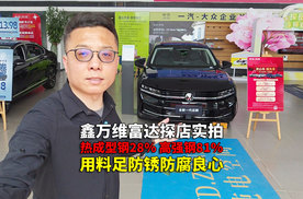 热成型钢占比28% 高强钢占比81% 选家轿求安全稳妥试试它